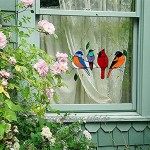 JUYAFEI vögel glasmalerei fensterbehänge,sonnenfänger Vogel,Acrylmaterial langlebig für die Dekoration zu Hause und im Büro verwendet Freunde schicken Ihrem Zimmer Farbe und Vitalität verleihen