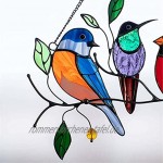 JUYAFEI vögel glasmalerei fensterbehänge,sonnenfänger Vogel,Acrylmaterial langlebig für die Dekoration zu Hause und im Büro verwendet Freunde schicken Ihrem Zimmer Farbe und Vitalität verleihen