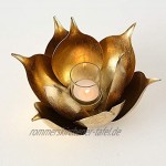 CasaJame Metall Leuchter Kerzenleuchter Windlicht Teelichthalter Blume Blüte Lotus Magnolia Gold H11cm D20cm
