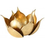 CasaJame Metall Leuchter Kerzenleuchter Windlicht Teelichthalter Blume Blüte Lotus Magnolia Gold H11cm D20cm