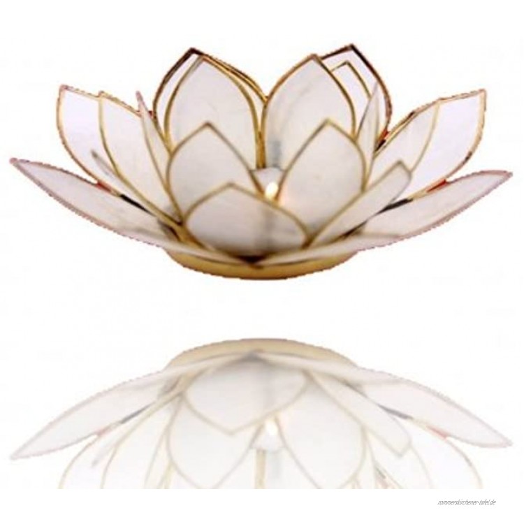 Trimontium Teelichthalter Schneeweiß in Form Einer dreiblättrigen Lotusblüte Capiz-Muschel Natur 14 x 14 x 8 cm