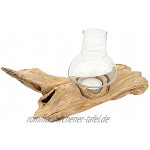 Windlicht Natur Holz Wurzel mit Glas hell Teelichthalter Windlichthalter 20-25 cm