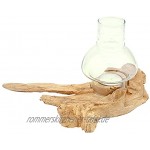 Windlicht Natur Holz Wurzel mit Glas hell Teelichthalter Windlichthalter 20-25 cm