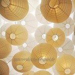 10 Stücke Papierlaterne Laterne Deko Feier Lampions Papierlampen mit 10er Mini LED Lichter Weiß Lampion + Kaltweiß Mini Led-Ballons Lichter 25cm