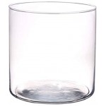 INNA-Glas Zylinder Windlicht Glas Sanny aus Glas klar 19cm Ø19cm Kerzen Glas Glasvase