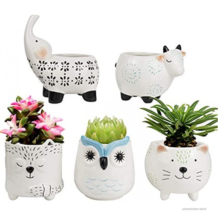 LA Jolie Muse Sukkulenten Pflanzentöpfe – Süßes Tier Set aus Keramik Kuh Katze Elefant Fuchs Eule Heimdeko Weihnachten Geschenk