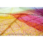 CARPETIA Teppich modern Designerteppich Blätter Laub bunt Größe 80x150 cm