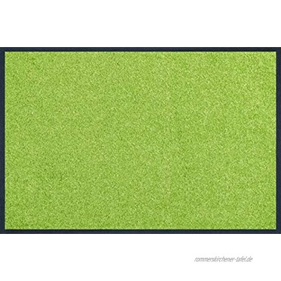 wash+dry Fußmatte Apple Green 40x60 cm innen und außen waschbar