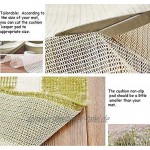DAOXU Antirutschmatte Teppichunterlage,Bodenmatte rutschfeste Schutzschicht Teppichs Teppichunterleger Zuschneidbar Fußbodenheizung geeignet 100x180cm