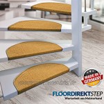 Floordirekt 15 x Teppich Stufenmatten Treppenstufen | 100% Sisal | wohnlichen Farben | rutschsicher für Mensch und Tier Maße ca. 64 x 23,5 cm Natur