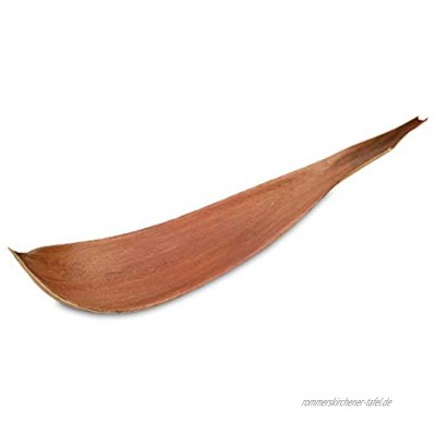 NaDeco Kokosblatt groß 60-80cm Kokos Blatt Kokosschle Palmenschale Dekoschale Dekoblatt Palmenblatt Bananenblatt