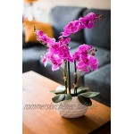 Decoline Kunstpflanze Orchidee XL mit Keramiktopf ca. 53cm hoch Blüten lila Topf weiß