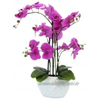 Decoline Kunstpflanze Orchidee XL mit Keramiktopf ca. 53cm hoch Blüten lila Topf weiß