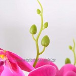 ENCOFT Kunstpflanze Orchidee Künstliche Blumen aus Eva mit Übertopf Kunstblume Seidenblumen phalaenopsis-orchideen-Bonsai mit Keramik-vase Hochzeit Garten Balkon Tischdekoration Lila 43