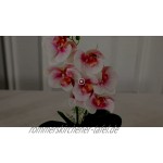 ENCOFT Kunstpflanze Orchidee Künstliche Blumen aus Eva mit Übertopf Kunstblume Seidenblumen phalaenopsis-orchideen-Bonsai mit Keramik-vase Hochzeit Garten Balkon Tischdekoration Lila 43