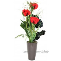 Liatris Floristik Mohn Pflanze mit roten Blüten hochwertiges Kunstblumen-Gesteck im stilvollen Keramik-Topf in grau Seidenblume wie echt Moderne Dekoration 70 cm groß