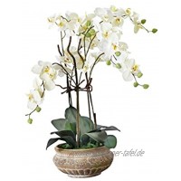 Pureday Kunstpflanze Orchidee weiß-Creme mit Übertopf aus Keramik braun 58 cm hoch