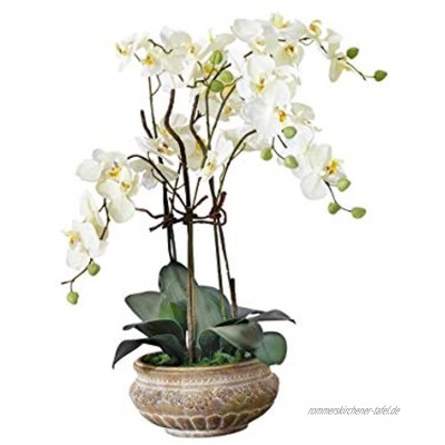 Pureday Kunstpflanze Orchidee weiß-Creme mit Übertopf aus Keramik braun 58 cm hoch