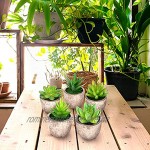 5 Stück Künstliche Sukkulenten Pflanzen,kunstpflanzen mit Grauem Töpfen Mini Künstliche Sukkulenten Pflanzen künstliche Pflanzendekoration verwendet für Tischdekoration Balkon Bürodekoration