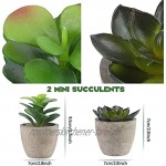 Alagirls 4 Stück Künstliche Pflanzen Mini Kunstpflanzen Eukalyptus Rosmarin Sukkulenten mit Topf Schreibtisch Küche Badezimmer Garten Deko