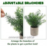 Alagirls 4 Stück Künstliche Pflanzen Mini Kunstpflanzen Eukalyptus Rosmarin Sukkulenten mit Topf Schreibtisch Küche Badezimmer Garten Deko