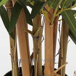Bambus Kunstpflanze Kunstbaum Künstliche Zimmerpflanze mit Echtholzstamm im Zementierter Basistopf Balkon Terrasse Sichtschutz Bambus Höhe: 3 Feet 91CM