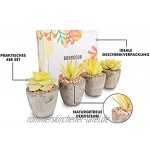 BonDecor Künstliche Sukkulenten Pflanzen – 4er Set Kunstpflanze mit Töpfen und Steinen als Deko für Küche Büro Badezimmer Schlafzimmer Wohnzimmer in Gelb
