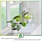 CROSOFMI Kunstpflanze 15 cm Mini Künstliche Pflanzen im Topf Plastikpflanzen Dekoration Wohnzimmer Wohnung Badezimmer Küche Balkon Modern Deko 3 Pack