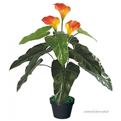 Decovego Drachenwurz Calla Lily Kunstpflanze Künstliche Pflanze mit Topf 85cm