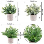E-Bestar Künstliche Pflanzen im Topf Künstliche Pflanzen Gras im Topf Klein für Home Schreibtisch Küche Badezimmer Garden Deko3 Pack