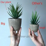 FagusHome 20cm Hoch Künstliche Pflanzen mit Topf 2 Stück Künstliche Sukkulenten Pflanzen Gefälschte Kakteen für Dekor