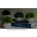 FEILANDUO Set mit 4 Mini-Kunstpflanzen getopft künstliche Bonsai-Kugelpflanzen künstliches grünes Gras in weißen Kunststofftöpfen für den Innen- und Außenbereich Schreibtisch-Dekor 4