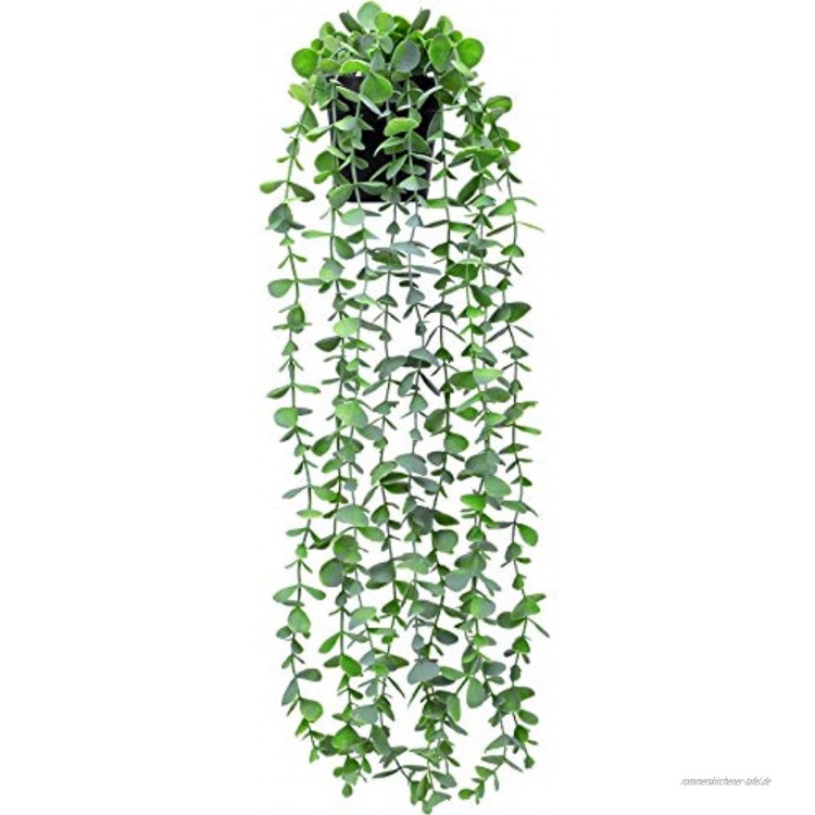 Funarty Künstliche Pflanze zum Aufhängen klein Eukalyptus-Pflanze künstlich grün Ranke im Topf für Zuhause drinnen und draußen
