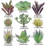 Hileyu 18 Stück Künstliche Sukkulenten Kunststoff realistische Künstliche Beflockte Pflanzen Künstliche Sukkulenten Blumen Sortiment in Beflockt für DIY Indoor Outdoor Hausgarten Dekorationen