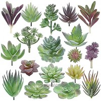 Hileyu 18 Stück Künstliche Sukkulenten Kunststoff realistische Künstliche Beflockte Pflanzen Künstliche Sukkulenten Blumen Sortiment in Beflockt für DIY Indoor Outdoor Hausgarten Dekorationen