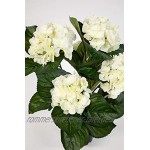 Hortensienbusch Deluxe 42cm weiß-Creme im Topf LM Kunstpflanzen künstliche Hortensie Pflanzen Blumen