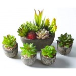 Jobary Set mit 5 künstlichen Sukkulenten mit Töpfen einschließlich 10 Pflanzen Bunten und Dekorativen Fälschung Sukkulentenmit Steinen ideal für Zuhause Büro und Dekor im Freien