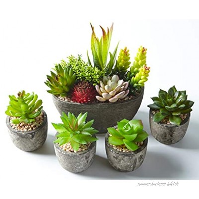 Jobary Set mit 5 künstlichen Sukkulenten mit Töpfen einschließlich 10 Pflanzen Bunten und Dekorativen Fälschung Sukkulentenmit Steinen ideal für Zuhause Büro und Dekor im Freien