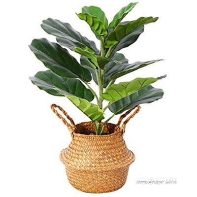 Künstliche Pflanze Geigenblatt Feigenbaum 56cm Kunstpflanzen im Seegraskorb Tropical Hawaii Grün Plastik Pflanze für Küche Schlafzimmer Bürogebrauch Garten Hochzeit Deco1 Pack