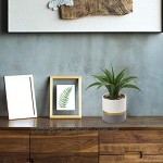 Künstliche Pflanzen künstliche Aloe Sansevieria Schlangenpflanze große Topfpflanze Kunststoffpflanzen mit Cerimic Töpfen Faux Agave Sukkulenten Dekoration für Zuhause Büro Tisch Badezimmer