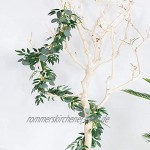 Maotrade Eukalyptus Künstlich Girlande 2m Künstliche Eukalyptus Pflanze Hängend Deko Eucalyptus Kranz wie Echt für Hochzeit Party Zuhause Garten Balkon als Tisch Wand Dekoration