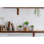 mokinu® Künstliche Sukkulenten 3er Set Pflanzen mit echtem Beton Topf dekorative Kunst-Blumen für Wohnzimmer Schlafzimmer Küche Büro Tisch-Deko