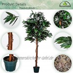 PLANTASIA® Mangobaum Echtholzstamm Kunstbaum Kunstpflanze 120cm oder 180 cm Schadstoffgeprüft 180 cm