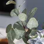 Seanmi Künstliche Eukalyptusblätter 6 Stück künstlich getrocknete Silber-Dollar-Eukalyptus-Girlande Zweige künstliche Grünpflanzen Deko-Pflanzen für Dekoration 65,6 cm hoch grau-grün