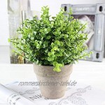 SHACOS 2er Set Pflanzen Künstlich Blumen Gras Kunstpflanze Bonsai Mini mit Topf Klein,Ideal für Tischdeko Haus Balkon Büro usw.