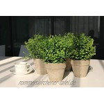 SHACOS 2er Set Pflanzen Künstlich Blumen Gras Kunstpflanze Bonsai Mini mit Topf Klein,Ideal für Tischdeko Haus Balkon Büro usw.