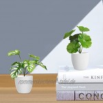SOGUYI Künstliche Pflanzen 15cm Mini Indoor Kunstpflanze mit Töpfen Home Office Hotel Küche Garten Party Deko Pflanzen Deko Modern 3 Pack
