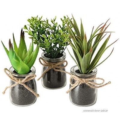 Spetebo Kunstpflanze im Glas klein 3er Set Sukkulenten Set Tischdeko Büro Pflanze künstlich grün
