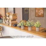 THE BLOOM TIMES Set mit 3 kleinen künstlichen Pflanzen in Töpfen für Heimdekoration im Innenbereich Mini-Grünpflanzen für Bauernhaus Badezimmer Büro Schreibtisch Tischregal Dekoration