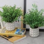 TIMESETL 2Stück Künstliche Pflanzen Mini Kunstpflanzen Echt Pflanzen Künstlich Eukalyptus Pflanzen mit Topf für Home Schreibtisch Küche Badezimmer Garden Deko
